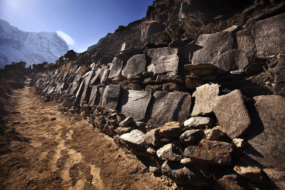 Reportage | Losan Piatti - Fotografo Toscana_Everest_Caravan Yak_09