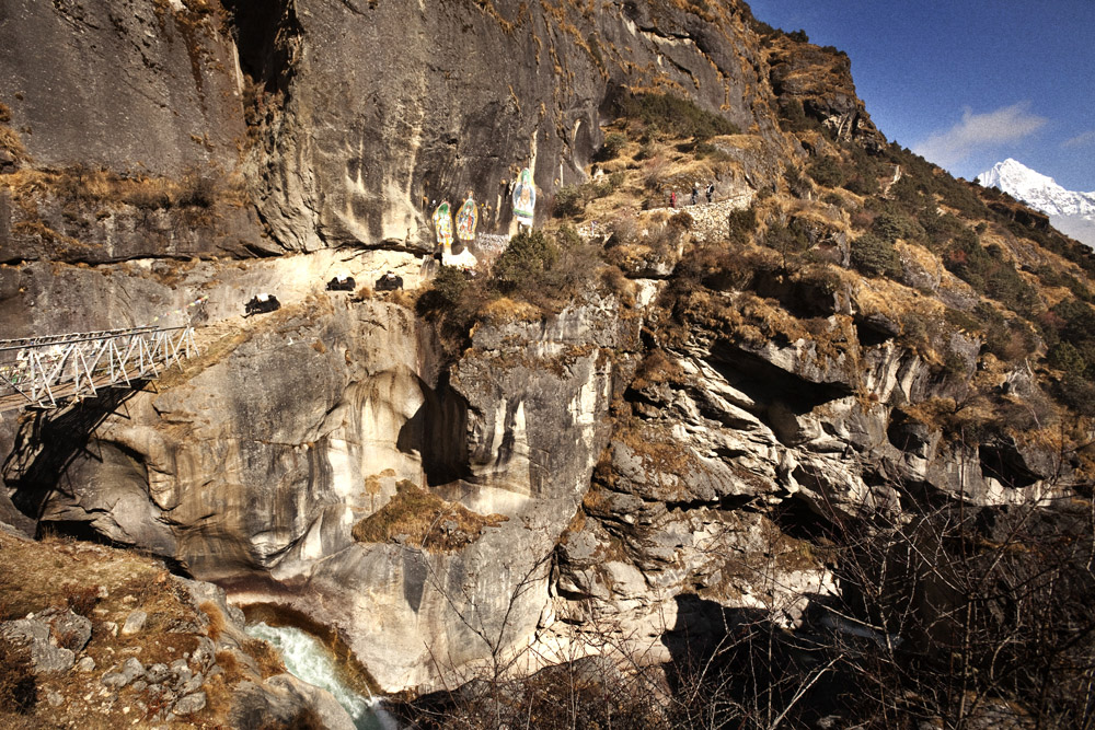 Reportage | Losan Piatti - Fotografo Toscana_Everest_Caravan Yak_10