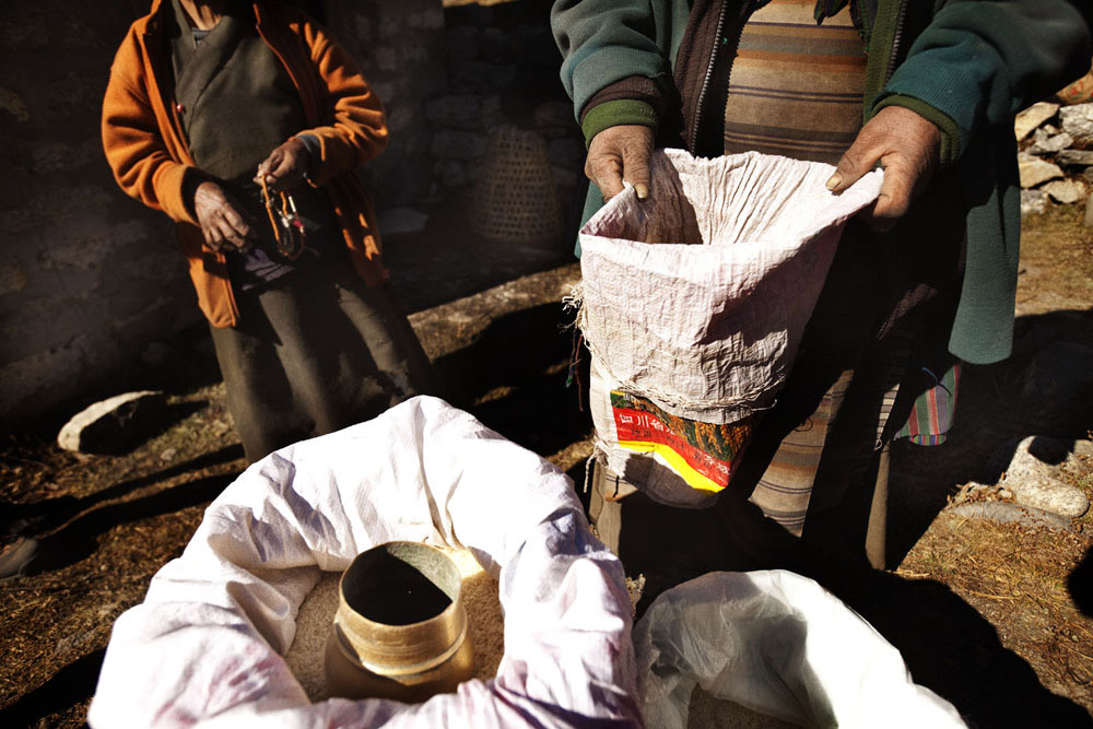 Reportage | Losan Piatti - Fotografo Toscana_Everest_Caravan Yak_12