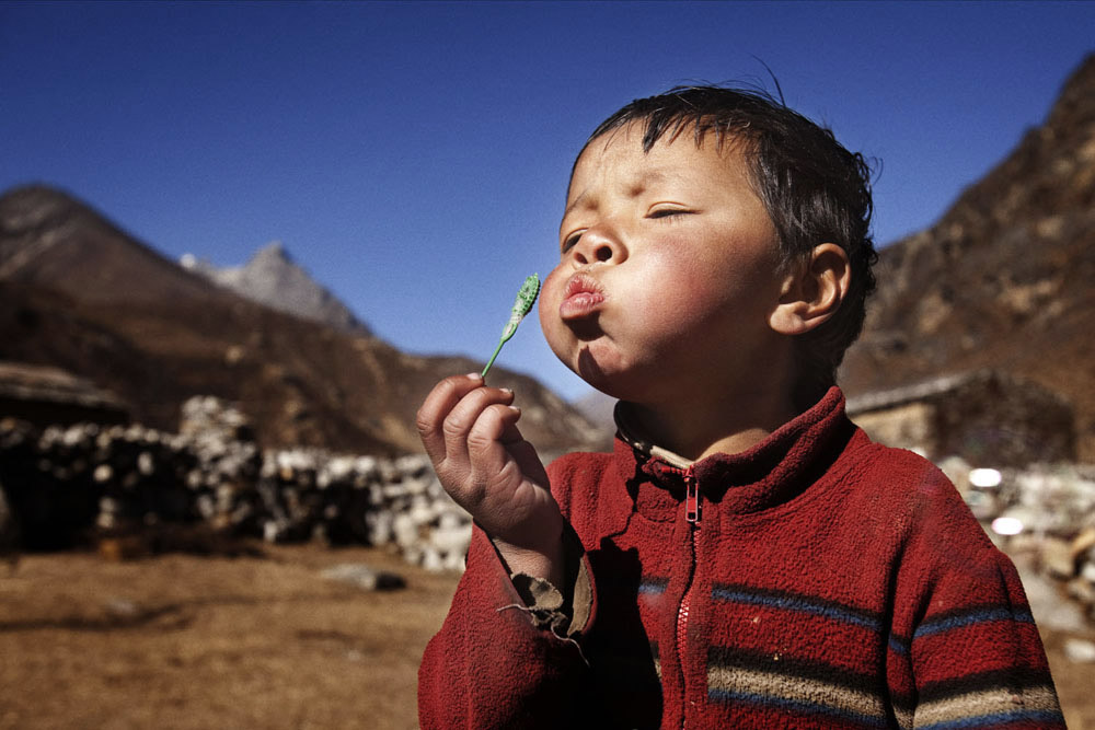 Reportage | Losan Piatti - Fotografo Toscana_Everest_Caravan Yak_22