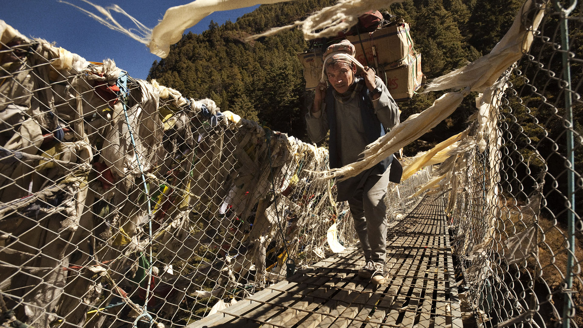 Reportage | Losan Piatti - Fotografo Toscana_Everest_Caravan Yak feature